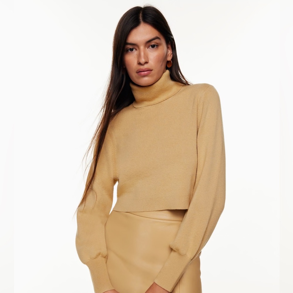Aritizia Wilfred Rebecca Turtleneck Sweater